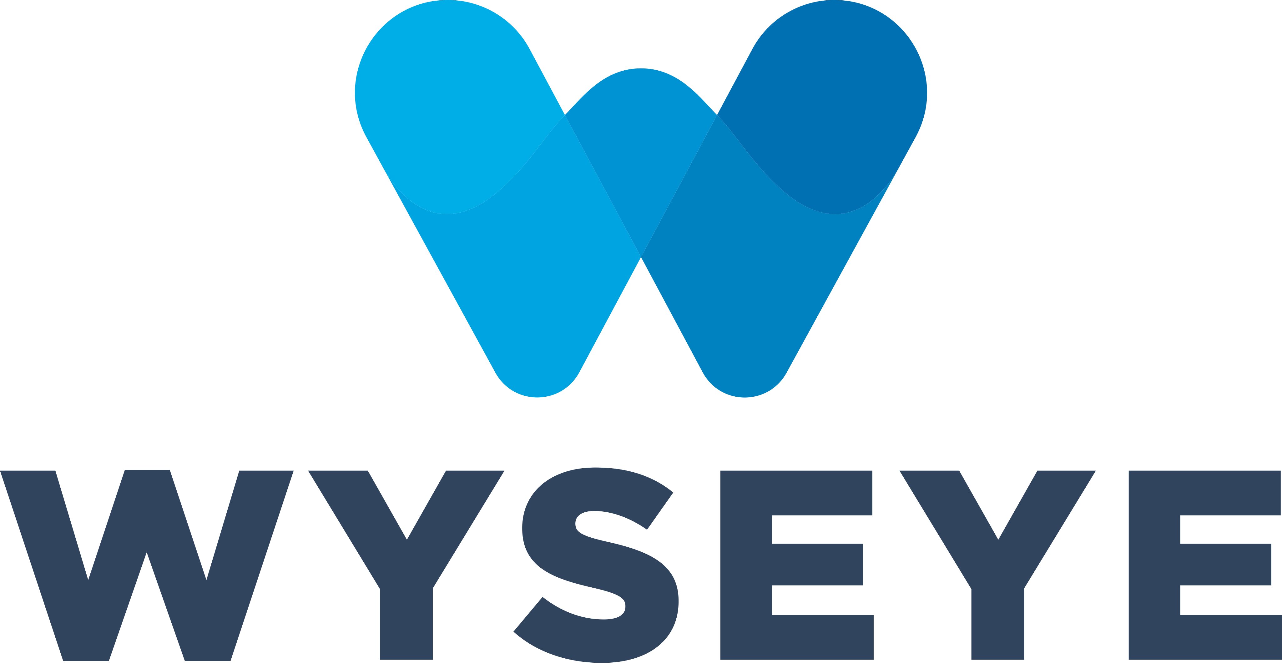 Wyseye
